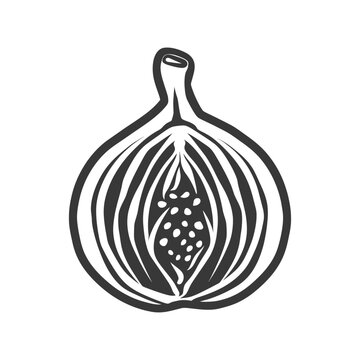 black and white fig fruit cut open clip art preview