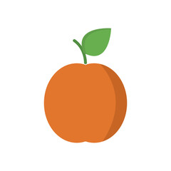 Apricot