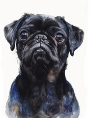 A detailed illustration of a black pug dog, showcasing its expressive face and features.