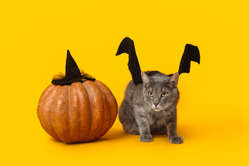 Cute cat with bat wings and Halloween pumpkin on yellow background