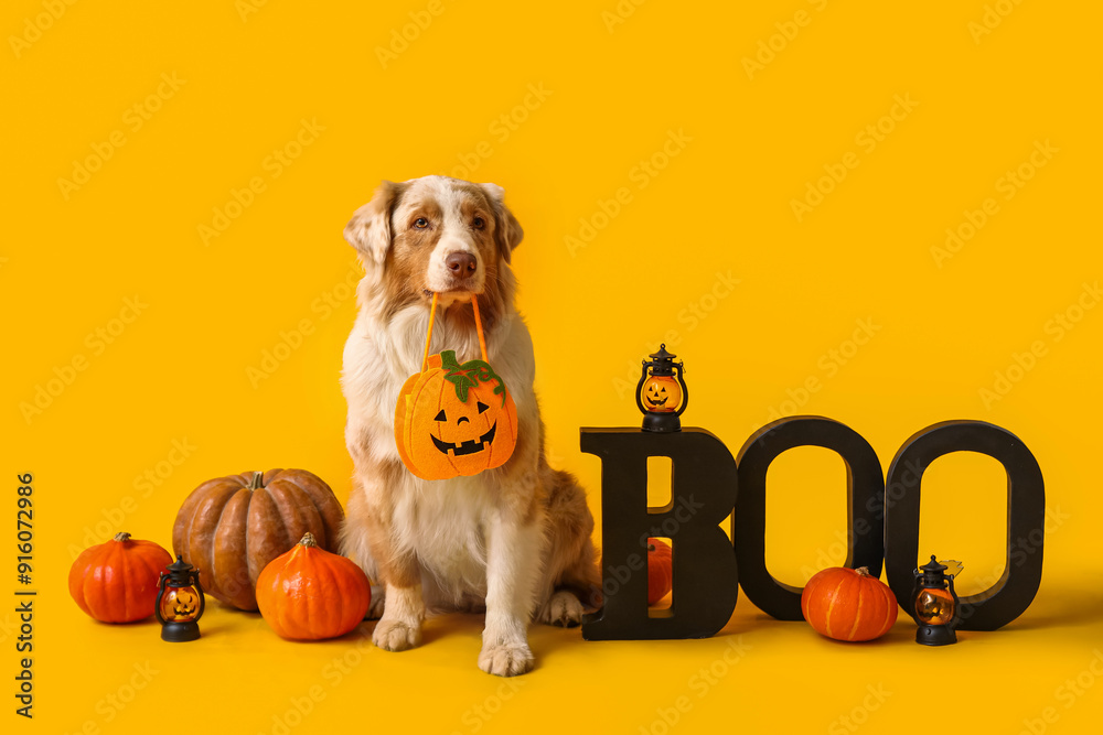 Wall mural cute dog with pumpkins and halloween decorations on yellow background