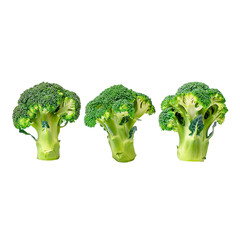 broccoli isolated  on transparent background png
