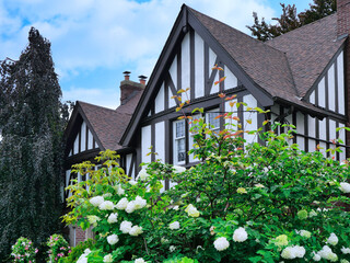Tudor style house with hydrangea bushes