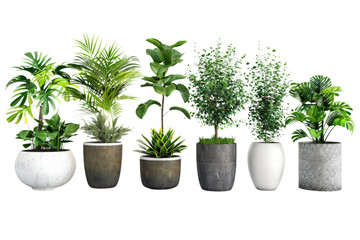 Assortment of indoor green plants in modern pots, each isolated on a white background, ideal for interior decoration with various plant and pot combinations