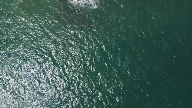 el mar desde el cielo, la costa del caribe venezolano en chuspa playa mono manso
