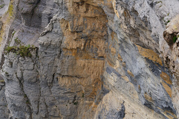 Rocky mountain texture with intricate layers of stone and moss, showcasing natural geological patterns.