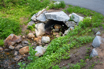 Dead Horse Creek Trail over a culvert, paved with asphalt to protect the environment from heavy foot traffic, Mount Rainier National Park, outdoor recreation in nature on a sunny summer day
