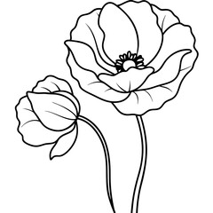 hand drawn flower vector illustration