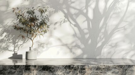 Marble table with tree shadow on white wall background for product mockup display