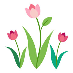 Spring Flowers Vector Illustration - Pink Tulips Bouquet Line Art, Floral Pattern, Silhouette Design