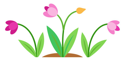 Spring Flowers Vector Illustration - Pink Tulips Bouquet Line Art, Floral Pattern, Silhouette Design