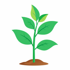 Coastal tree with roots icon