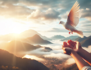 Freedom and international day of peace. Hand releasing a white pigeon natural scenery, mountains, sky.