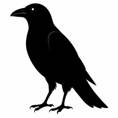 Crow isolated on white background, crow vector illustration, bird on a branch vector art, crow silhouette, bird vector icon, peacock on a branch line art, eps, raven on a branch cartoon