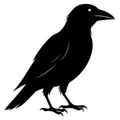 Crow isolated on white background, crow vector illustration, bird on a branch vector art, crow silhouette, bird vector icon, peacock on a branch line art, eps, raven on a branch cartoon