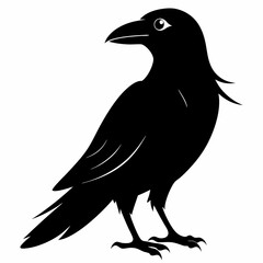 Crow isolated on white background, crow vector illustration, bird on a branch vector art, crow silhouette, bird vector icon, peacock on a branch line art, eps, raven on a branch cartoon