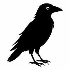 Crow isolated on white background, crow vector illustration, bird on a branch vector art, crow silhouette, bird vector icon, peacock on a branch line art, eps, raven on a branch cartoon
