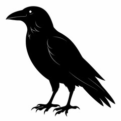 Crow isolated on white background, crow vector illustration, bird on a branch vector art, crow silhouette, bird vector icon, peacock on a branch line art, eps, raven on a branch cartoon