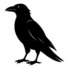 Crow isolated on white background, crow vector illustration, bird on a branch vector art, crow silhouette, bird vector icon, peacock on a branch line art, eps, raven on a branch cartoon