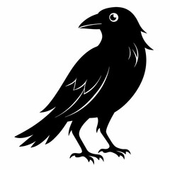 Fototapeta premium Crow isolated on white background, crow vector illustration, bird on a branch vector art, crow silhouette, bird vector icon, peacock on a branch line art, eps, raven on a branch cartoon
