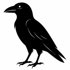Crow isolated on white background, crow vector illustration, bird on a branch vector art, crow silhouette, bird vector icon, peacock on a branch line art, eps, raven on a branch cartoon