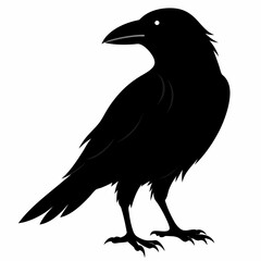 Crow isolated on white background, crow vector illustration, bird on a branch vector art, crow silhouette, bird vector icon, peacock on a branch line art, eps, raven on a branch cartoon