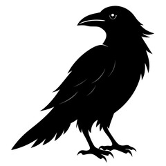 Crow isolated on white background, crow vector illustration, bird on a branch vector art, crow silhouette, bird vector icon, peacock on a branch line art, eps, raven on a branch cartoon
