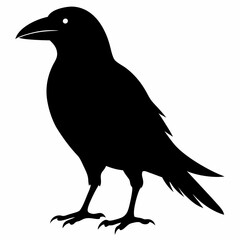 Crow isolated on white background, crow vector illustration, bird on a branch vector art, crow silhouette, bird vector icon, peacock on a branch line art, eps, raven on a branch cartoon