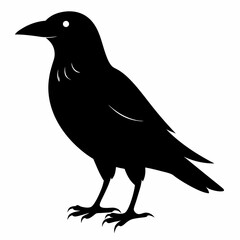 Crow isolated on white background, crow vector illustration, bird on a branch vector art, crow silhouette, bird vector icon, peacock on a branch line art, eps, raven on a branch cartoon