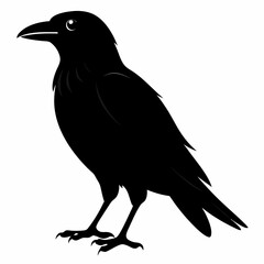 Crow isolated on white background, crow vector illustration, bird on a branch vector art, crow silhouette, bird vector icon, peacock on a branch line art, eps, raven on a branch cartoon