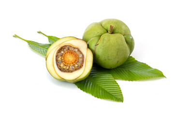 fresh elephant apple (Dillenia Indica fruit) with leaves on white background.