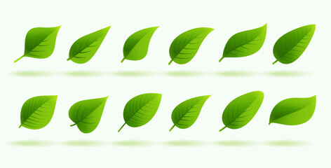 pack of decorative and cute natural foliage design