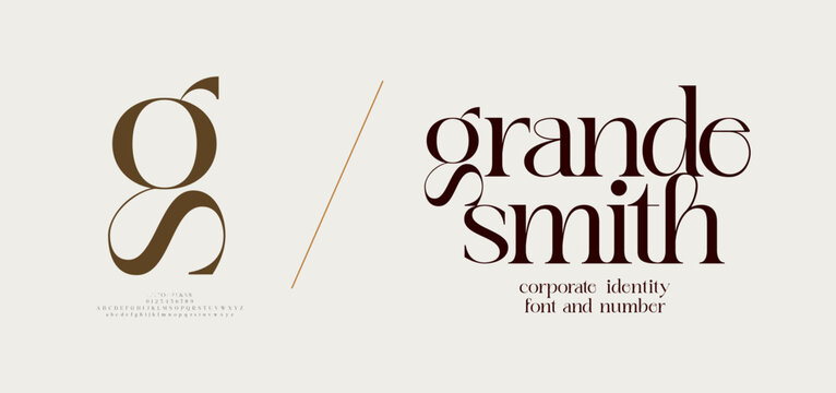 GS logo font and number. ci corporate identity modern luxury. Typography elegant beauty lettering serif italic fonts decorative brand wedding vintage retro logos. vector illustration