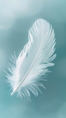 Obraz premium Single White Feather Against Blue Background.