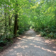 path in the woods