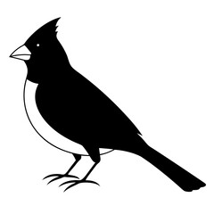 Cardinal head isolated on white background, Cardinal vector illustration, bird on a branch vector art, Cardinal silhouette, bird vector icon, bird on a branch line art, eps, Animal cartoon