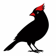 Cardinal head isolated on white background, Cardinal vector illustration, bird on a branch vector art, Cardinal silhouette, bird vector icon, bird on a branch line art, eps, Animal cartoon