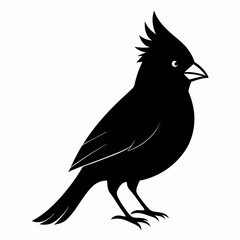 Cardinal head isolated on white background, Cardinal vector illustration, bird on a branch vector art, Cardinal silhouette, bird vector icon, bird on a branch line art, eps, Animal cartoon