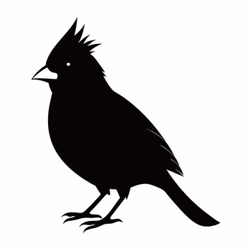 recommend clip art: Cardinal head isolated on white background, Cardinal vector illustration, bird on a branch vector art, Cardinal silhouette, bird vector icon, bird on a branch line art, eps, Animal cartoon