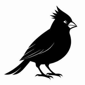 recommend clip art: Cardinal head isolated on white background, Cardinal vector illustration, bird on a branch vector art, Cardinal silhouette, bird vector icon, bird on a branch line art, eps, Animal cartoon