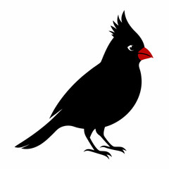 Fototapeta premium Cardinal head isolated on white background, Cardinal vector illustration, bird on a branch vector art, Cardinal silhouette, bird vector icon, bird on a branch line art, eps, Animal cartoon