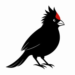 Cardinal head isolated on white background, Cardinal vector illustration, bird on a branch vector art, Cardinal silhouette, bird vector icon, bird on a branch line art, eps, Animal cartoon
