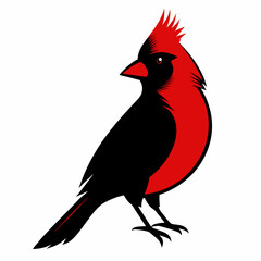 Cardinal head isolated on white background, Cardinal vector illustration, bird on a branch vector art, Cardinal silhouette, bird vector icon, bird on a branch line art, eps, Animal cartoon