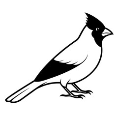 Cardinal head isolated on white background, Cardinal vector illustration, bird on a branch vector art, Cardinal silhouette, bird vector icon, bird on a branch line art, eps, Animal cartoon