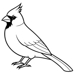 Cardinal head isolated on white background, Cardinal vector illustration, bird on a branch vector art, Cardinal silhouette, bird vector icon, bird on a branch line art, eps, Animal cartoon