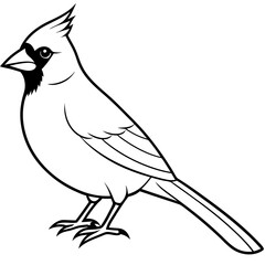Cardinal head isolated on white background, Cardinal vector illustration, bird on a branch vector art, Cardinal silhouette, bird vector icon, bird on a branch line art, eps, Animal cartoon