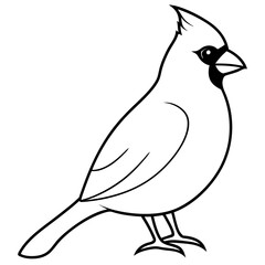 Cardinal head isolated on white background, Cardinal vector illustration, bird on a branch vector art, Cardinal silhouette, bird vector icon, bird on a branch line art, eps, Animal cartoon