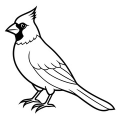 Cardinal head isolated on white background, Cardinal vector illustration, bird on a branch vector art, Cardinal silhouette, bird vector icon, bird on a branch line art, eps, Animal cartoon