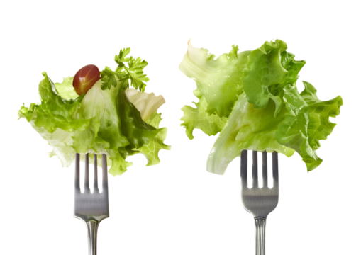 Two forks holding fresh green lettuce with a cherry tomato, representing healthy eating and culinary creativity.