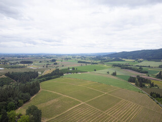 Fototapeta premium A large field of green grass and trees with a cloudy sky in the background